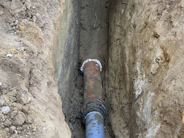 Best Professional water damage repair  in Terre Du Lac, MO