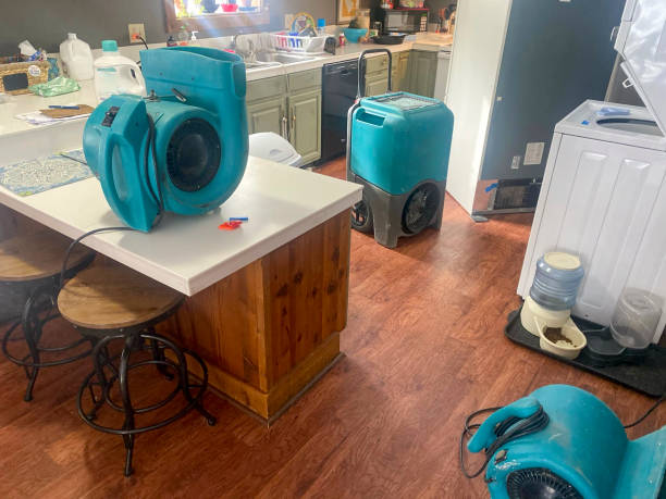 Best Water damage contractors near me  in Terre Du Lac, MO