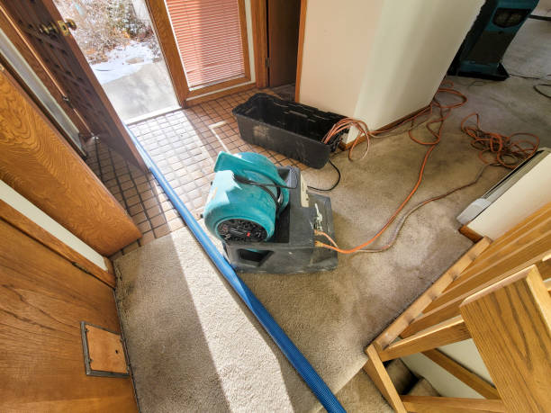 Best Local water damage restoration  in Terre Du Lac, MO