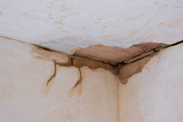 Best Fire Damage Restoration  in Terre Du Lac, MO
