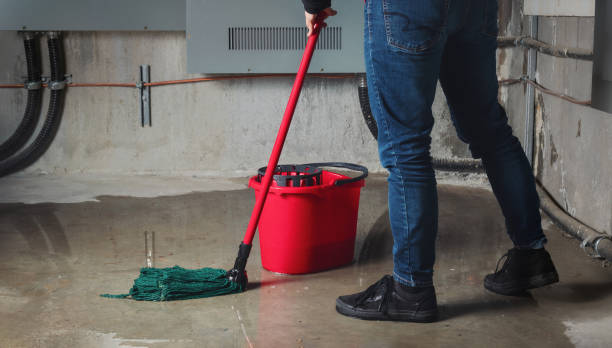 Best 24/7 water damage repair  in Terre Du Lac, MO