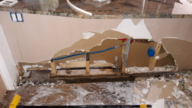 Best Mold removal after water damage  in Terre Du Lac, MO