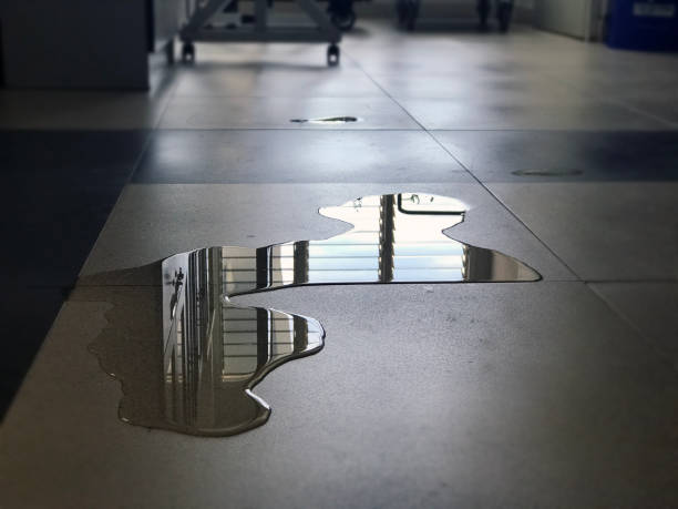 Best Water damage restoration process  in Terre Du Lac, MO