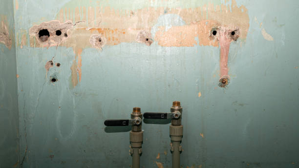 Best Flooded house restoration  in Terre Du Lac, MO