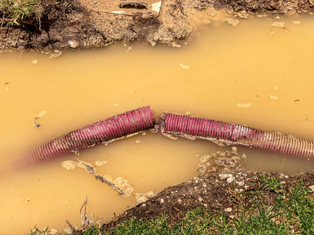 Best Water damage cleanup near me  in Terre Du Lac, MO