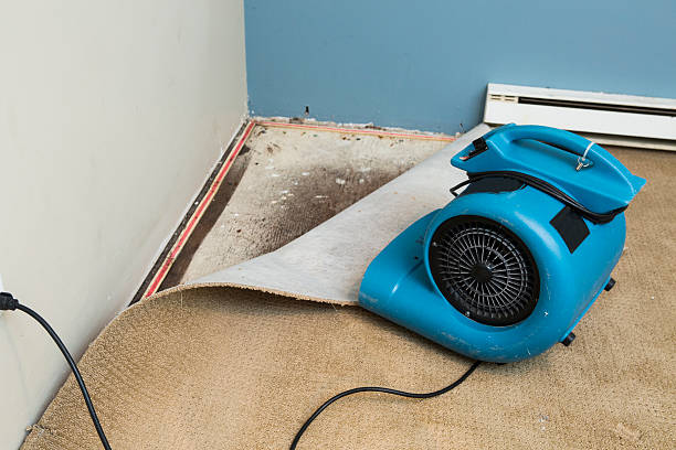 Best 24/7 water damage repair  in Terre Du Lac, MO